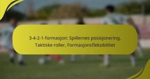 3-4-2-1-formasjon: Spillernes posisjonering, Taktiske roller, Formasjonsfleksibilitet