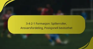 3-4-2-1 Formasjon: Spillerroller, Ansvarsfordeling, Posisjonell bevissthet